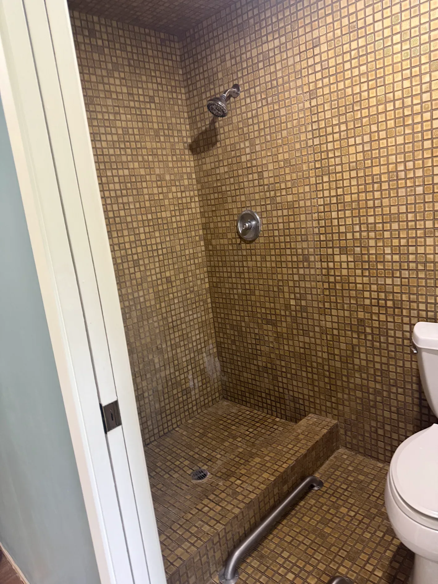 Carmichael bathroom and shower before remodel